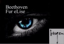 Ludwig van Beethoven - Fur eLise     [HD]