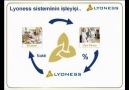 LYONESS SİSTEMİ TANITIM 1.BÖLÜM