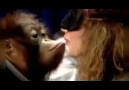 Maymunla öpüşme şakası :D