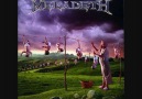 Megadeth - I Thought I Knew It All [HQ]