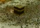 Mekke'den Ezan-ı Muhammediye