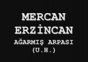 MERCAN ERZİNCAn-AĞARMIŞ ARPASı(U.H)