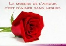 Michel Sardou : La Maladie D'amour