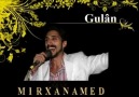 Mirxan Amed Gulan 2011