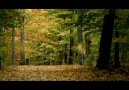 Mithat Körler - Sonbaharda sevmiştim [HQ]