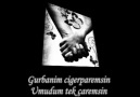 Murat Göğebakan-Öyle ki Hasretimsin