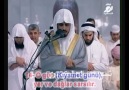 MÜZEMMİL SURESİ - Ibrahim Al-Jibreen [HQ]