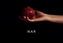 NAR [HQ]