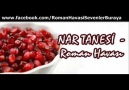 Nar Tanesi - Roman Havası [HQ]