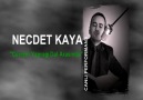 NECDET KAYA-Cevizin Yaprağı Dal Arasında[OFFFF OFFF] [HQ]