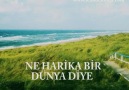 NE HARİKA BİR DÜNYA... [HQ]