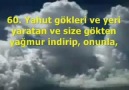 Neml Suresi (54-74)  سورة النمل ٥٤-٧٤