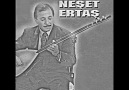 Neşat Ertaş - Küstürdüm Gönülü [HQ]