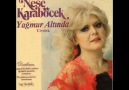 Neşe Karaböcek - Sakın bir söz söyleme