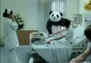 Never Say NO to Panda