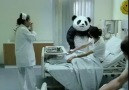 Never say no to Panda