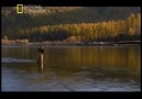 NG  Canavar Balıklar : Moğolistan Alabalığı ░ 2 / 4 ░