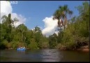 NG  Canavar Balıklar: Öfkeli Amazon ░ 3 / 4 ░
