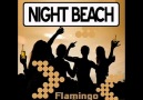 Night Beach - Flamingo [HQ]