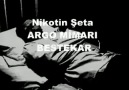 Nikotin Şeta - ARGO MİMARI BESTEKAR