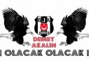 Olacak Olacak Bu sene BEŞİKTAŞ Şampiyon olacak