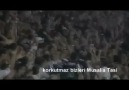 Ölümüne Seviyoruz Biz Beşiktaş'ı. 3