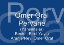 Ömer Oral - Pervane (Yansımalar)