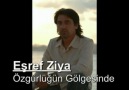 özgürlüğün gölgesinde - eşref ziya