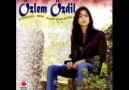 OZLEM OZDIL DERYANIN ICINDE