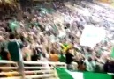 Panathinaikos - Horto Magiko / Dünya Tribünleri /