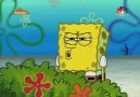Patrick ne yapacaksın bugün?...Hiçbişey :D [HQ]