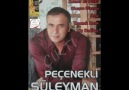 Peçenekli Süleyman - 2011 - ALBÜM - Yaşamak Lazım
