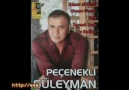 Peçenekli Süleyman 2011 - Pınarın Başında