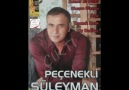 Peçenekli Süleyman - Yaşamak Lazım (2011)