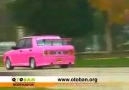 Pembe Panter (ŞAHİN)