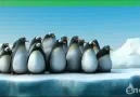 penguen dayanışması