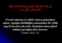 PEYGAMBER EFENDİMİZ (S.A.V.) DEN 40 HADİSİ ŞERİF