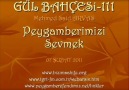 Peygamberimizi Sevmek [HQ]