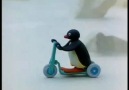 Pingu  ^_^