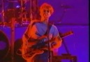 Pink Floyd - Comfortably Numb Pulse 1994 (Live)
