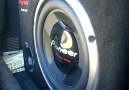 Pioneer 308 D4 Champion Series.. Bass I Love You!! [HQ]