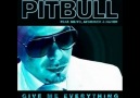 Pitbull feat Neyo, Afrojack and Nayer - Give Me Everything (Mikae