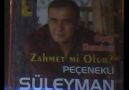 P.Süleyman [HQ]