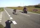 Rc car vs Honda 600f