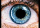 Requiem for a Dream - Lux Aeterna (Theme Song) [HQ]