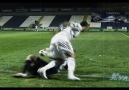 Ricardo Quaresma - Skills and Goals - Beşiktaş J.K. 2011 [HD]