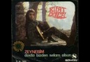 RIFAT ÖNCEL ve Kurtalan Ekspres - Zeynebim (1973)