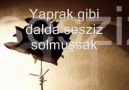 ŞAHRUD SEYDUNA - ACIYA GÜLMEK