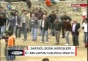 Sarıgöl Boğa Güreşleri (Kaçıranlar 3.Blm) 3 Nisan 2011