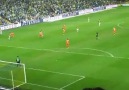 Sarııı Lacivertt Şampiyonn Fenerr